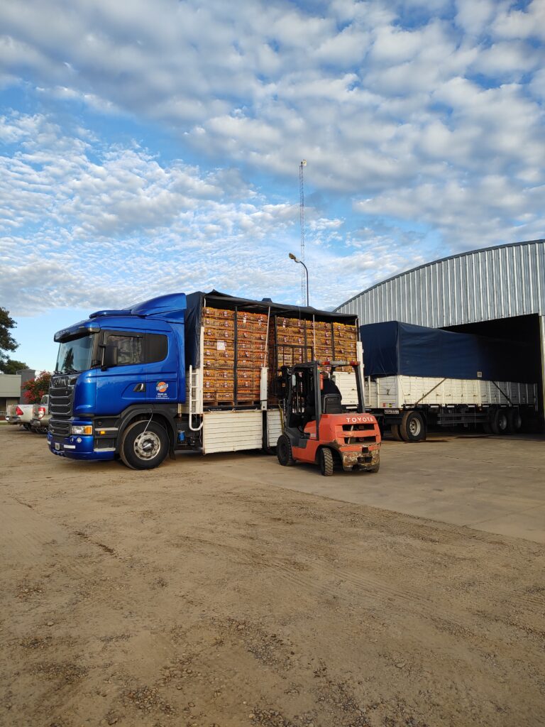 transporte citrus fabrello transporte citrus fabrello