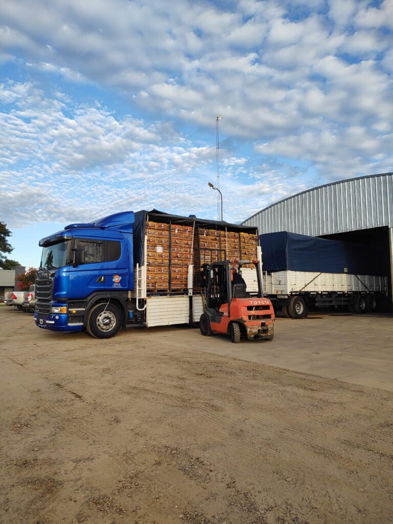 empaque camion carga citrus fabrello