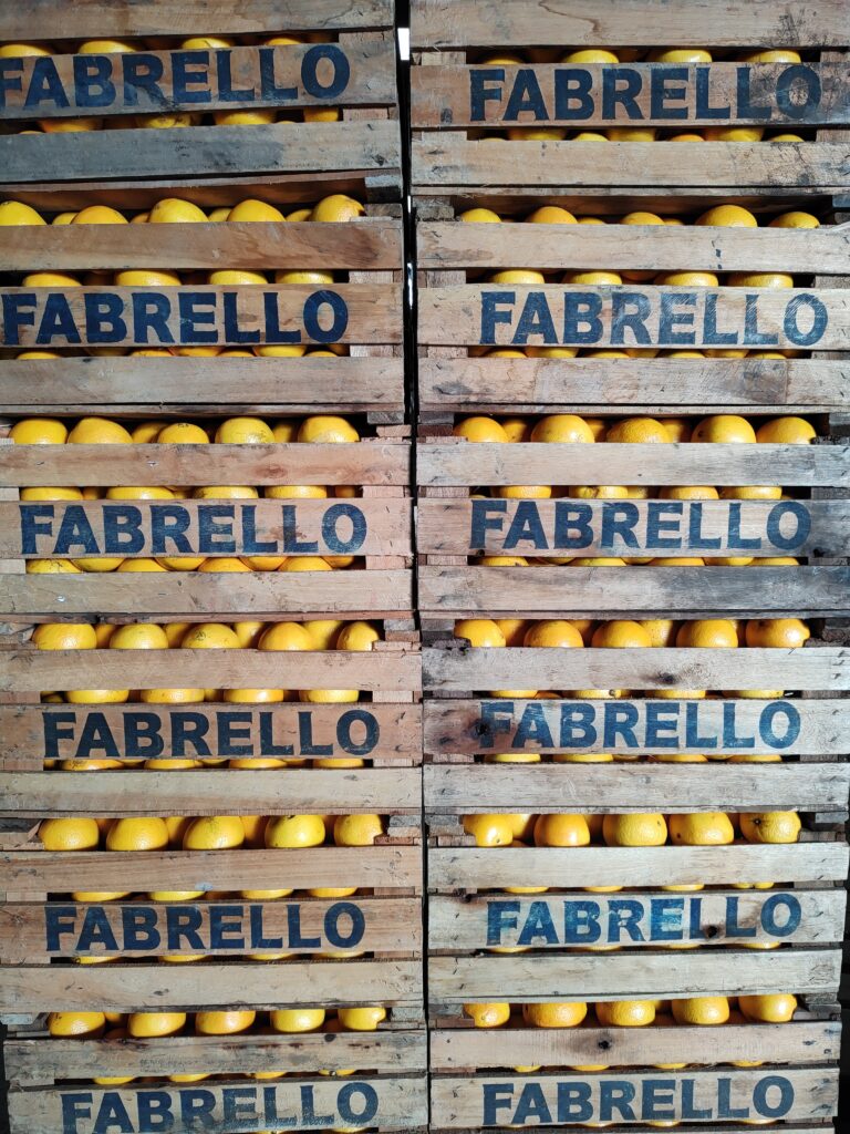 empaque citrus fabrello empaque citrus fabrello