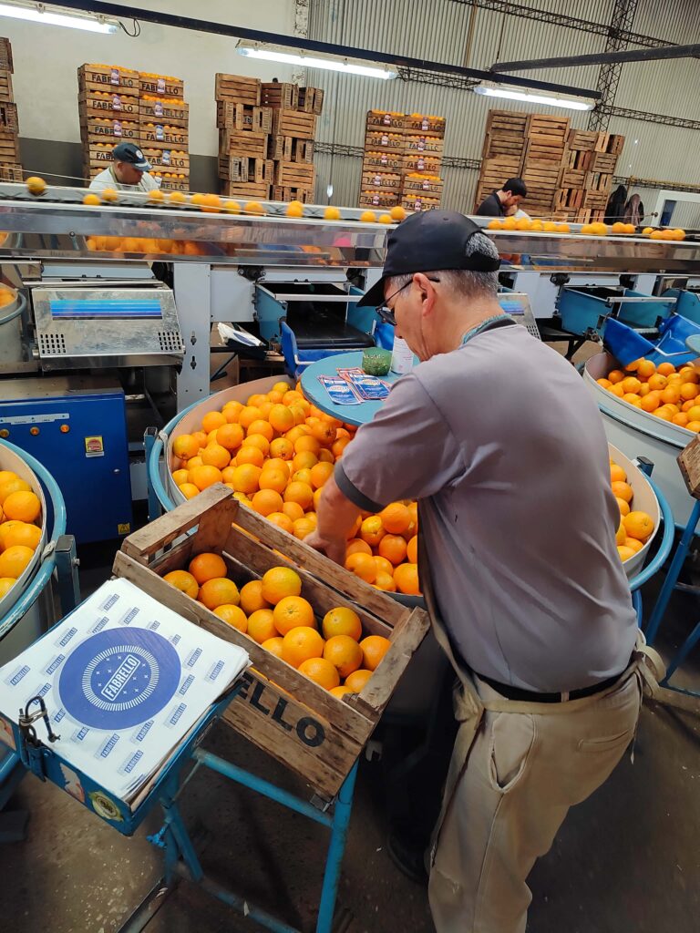 empaque citrus fabrello