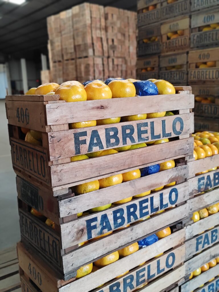 cajones citrus fabrello 