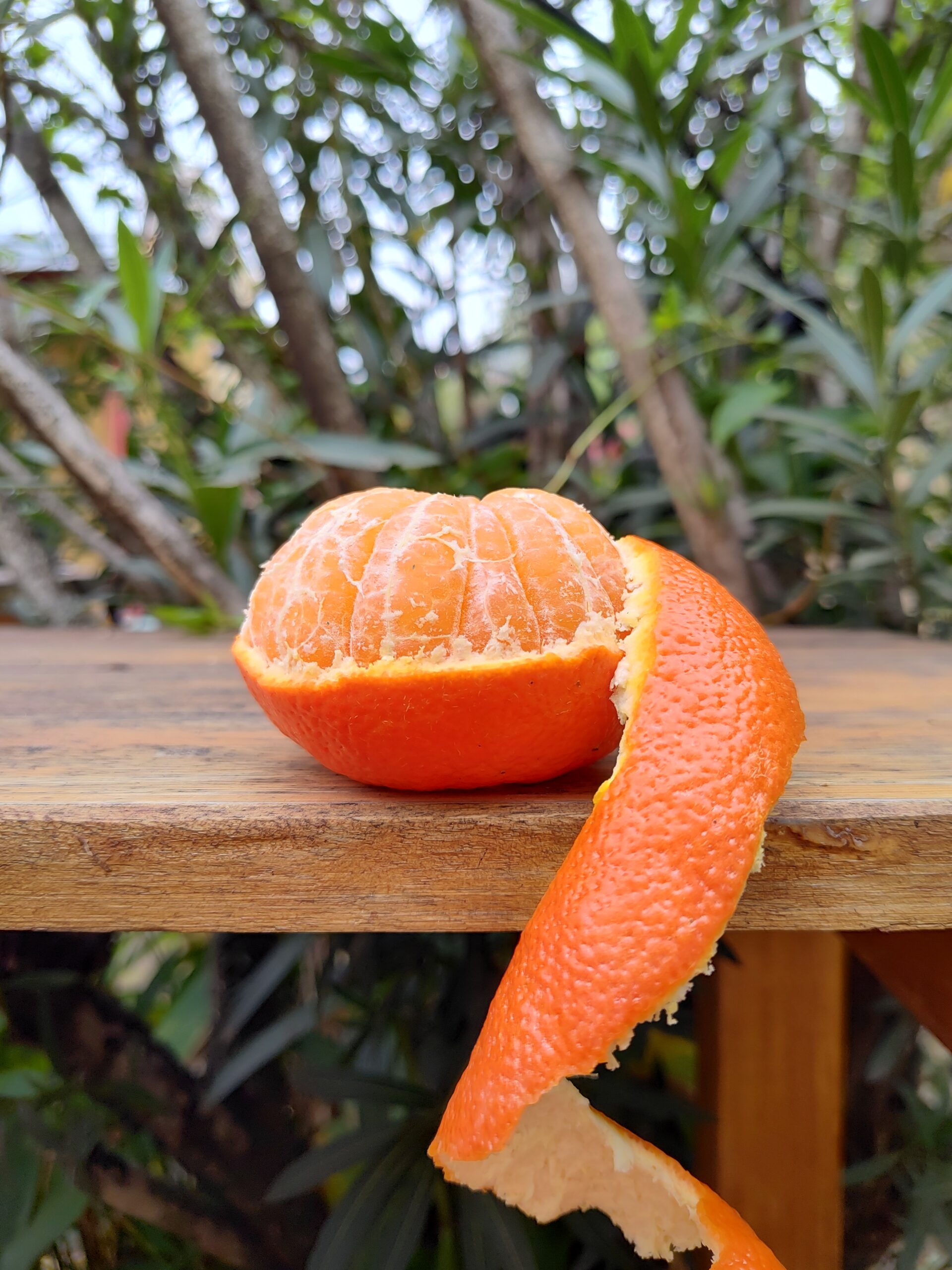 mandarinas jugosas citrus fabrello