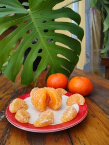 mandarinas jugosas citrus fabrello