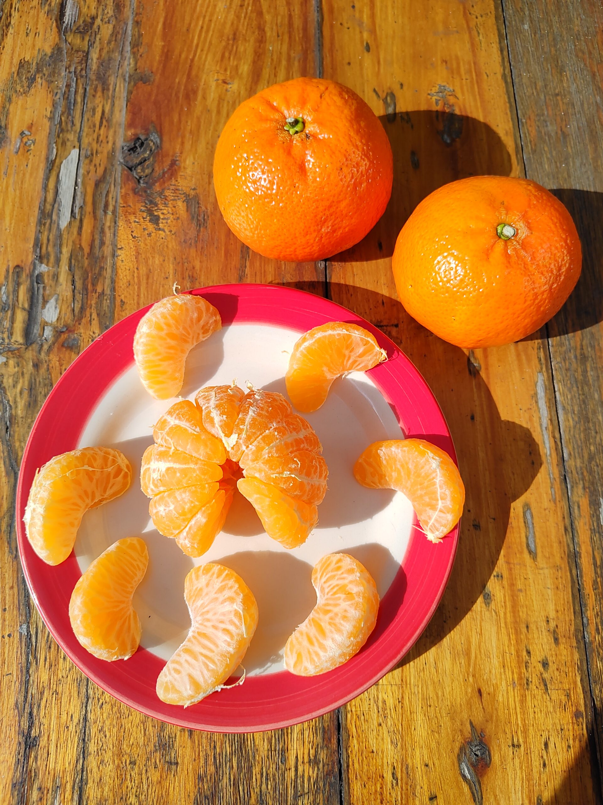 mandarinas jugosas citrus fabrello