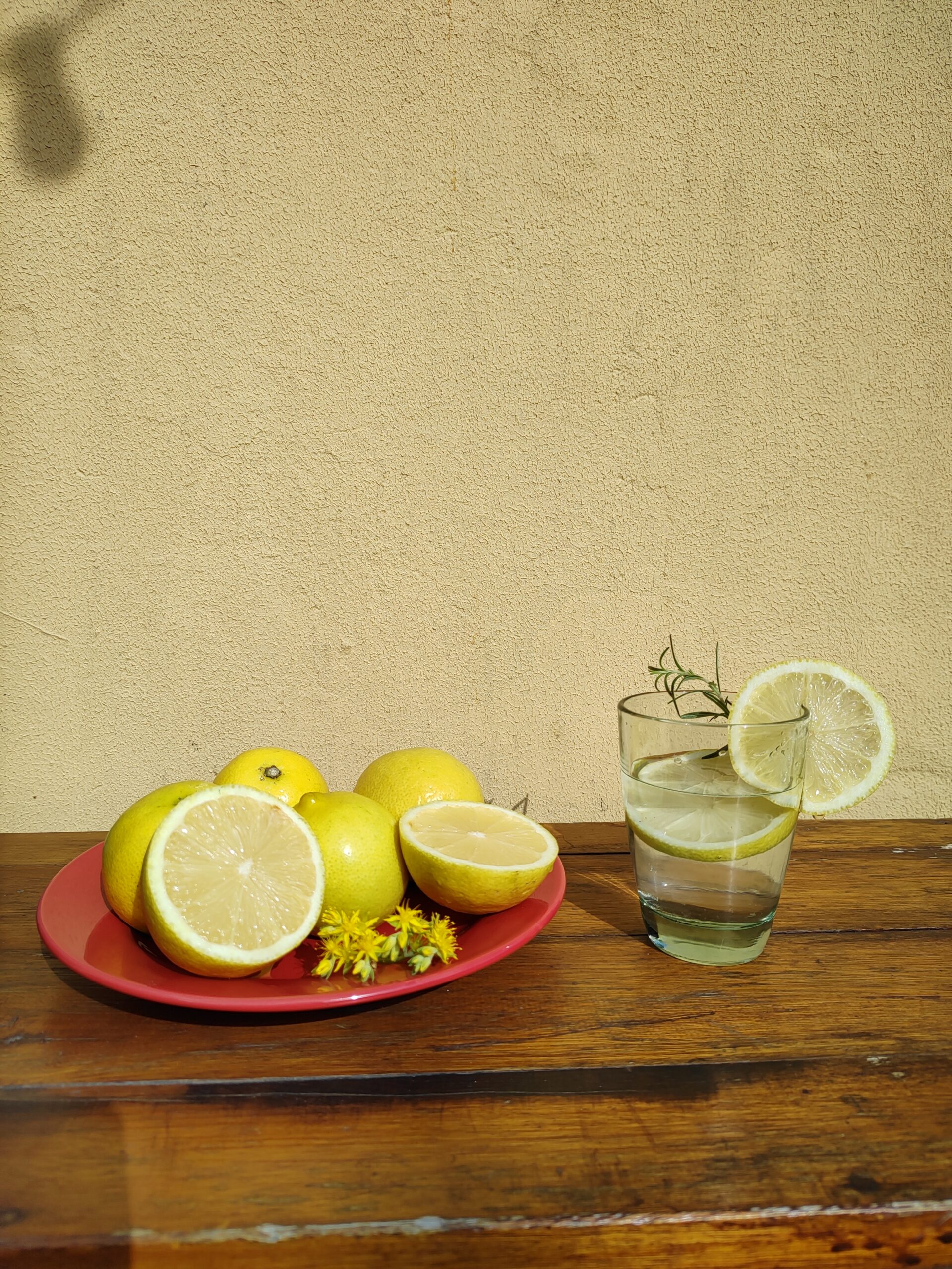limones jugosos ricos citrus fabrello