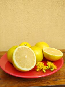 limones jugosos ricos citrus fabrello