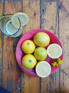 limones jugosos ricos citrus fabrello