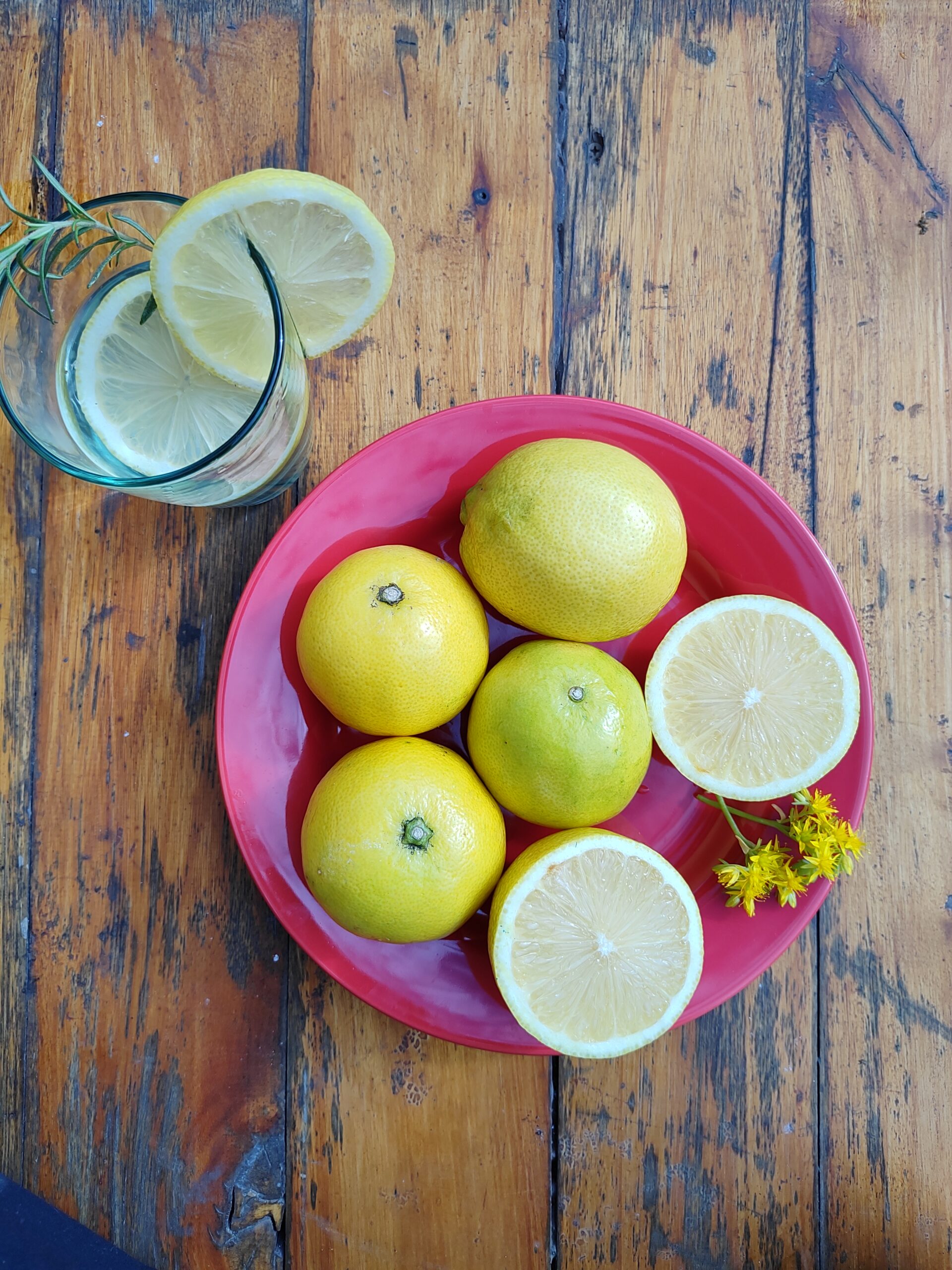 limones jugosos ricos citrus fabrello